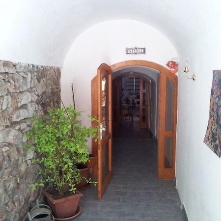 Třeboň Pension Siesta מראה חיצוני תמונה